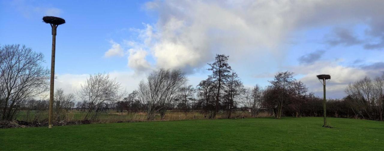 Fewo Storchennest Kollmar Exterior foto