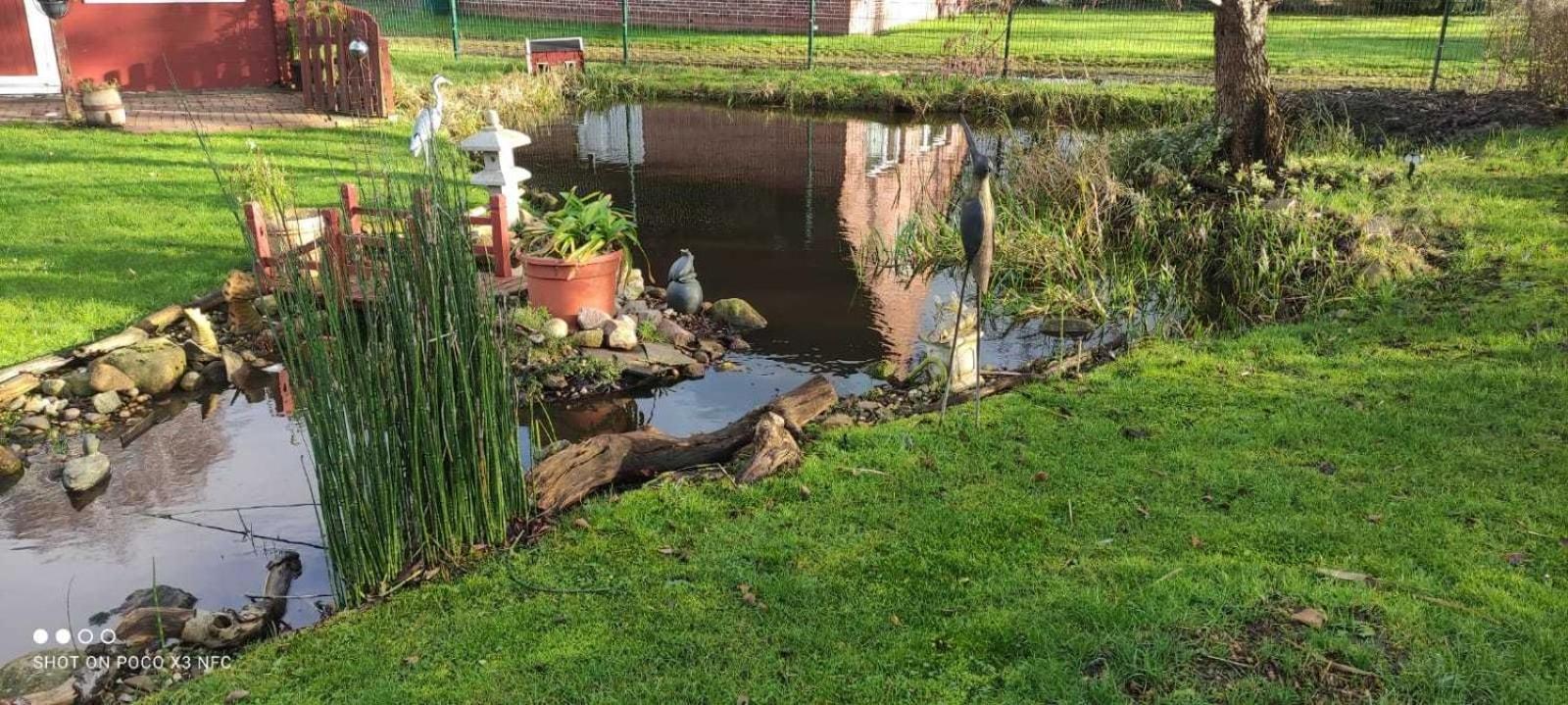 Fewo Storchennest Kollmar Exterior foto